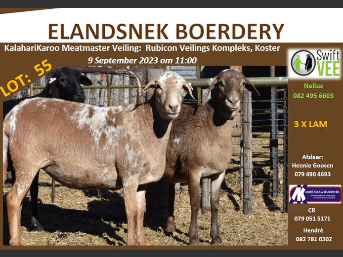 RSL 55C | ELANDSNEK BOERDERY