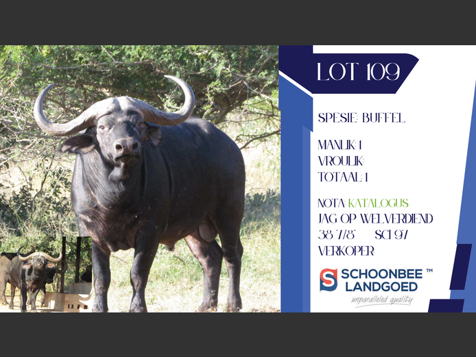 BUFFEL | SCHOONBEE LANDGOED