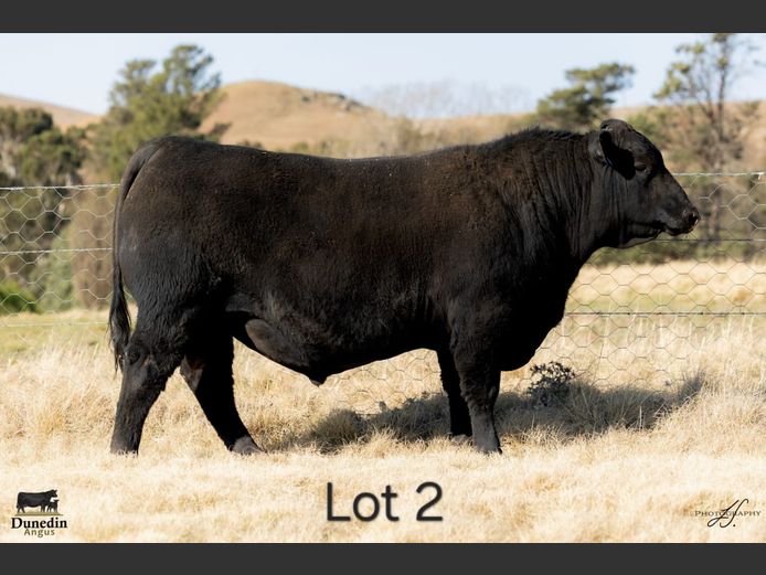 KCM 230084 | TABLE HILL FARMING PTY LTD