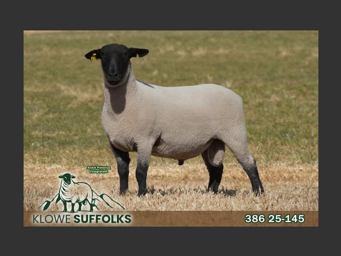386250145 | C.J. THERON