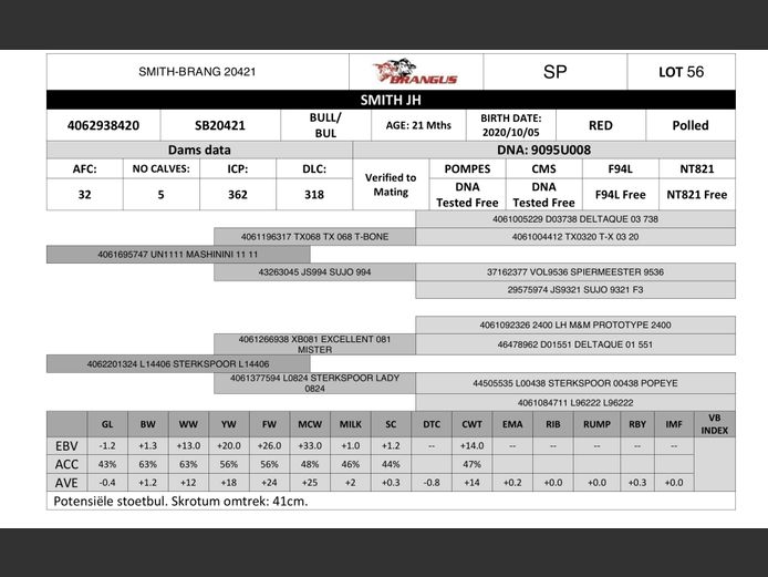 SB20421 | SMITH JH