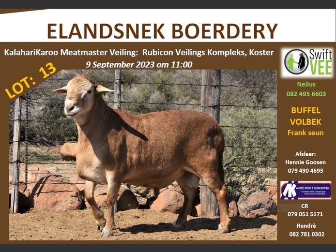 RSL 13 | ELANDSNEK BOERDERY