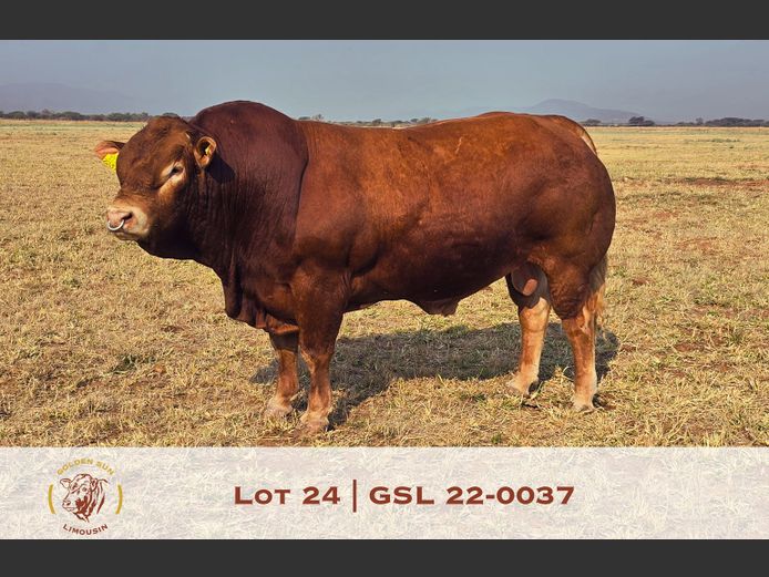22-0037GSL | GOLDENS-SUN LIMOUSINES