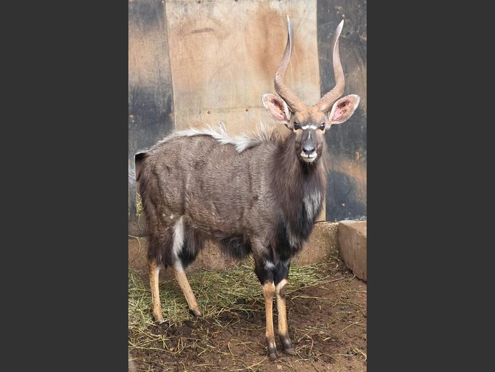 NJALA | KLIPVALLEY