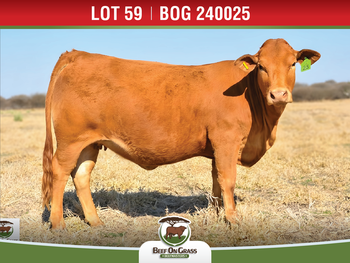 BOG 240025 | BEEF ON GRASS PTY LTD