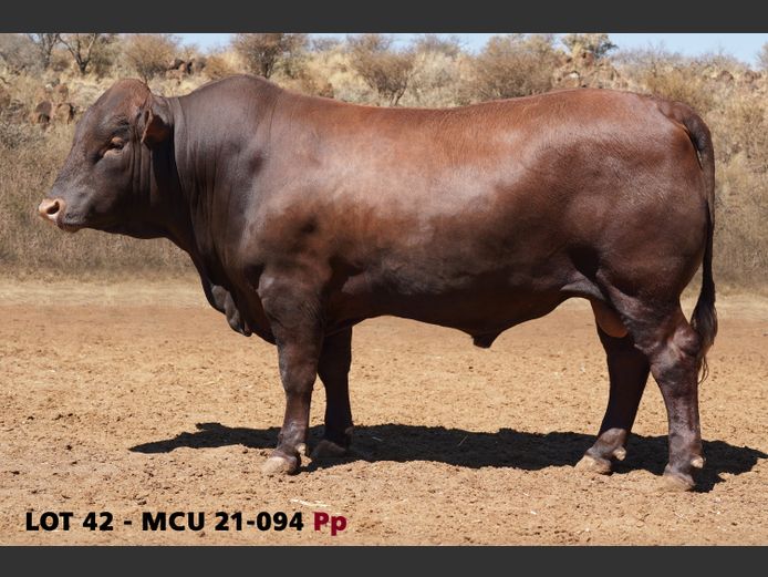 MCU21-0094
