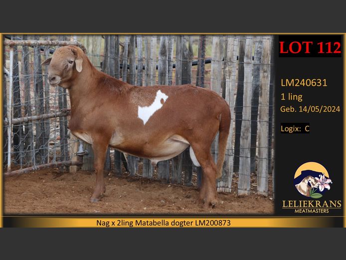 LM240631 | LELIEKRANS MEATMASTERS