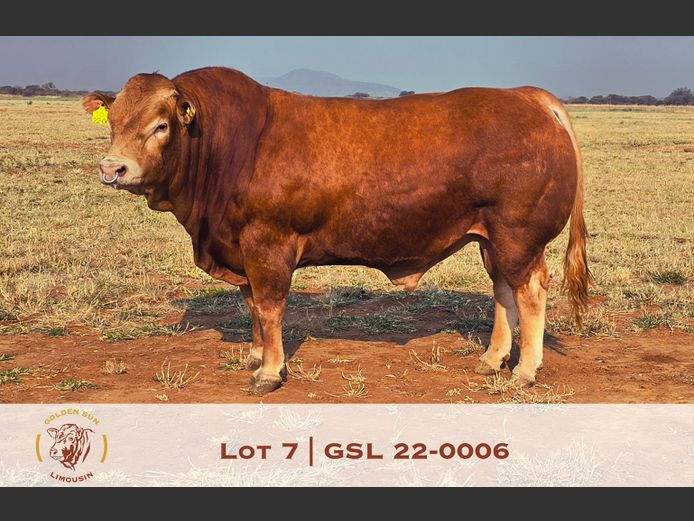 22-0006GSL | GOLDEN-SUN LIMOUSINES
