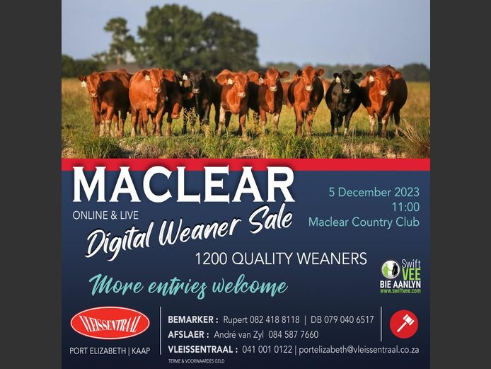 MACLEAR DIGITAL WEANER SALE