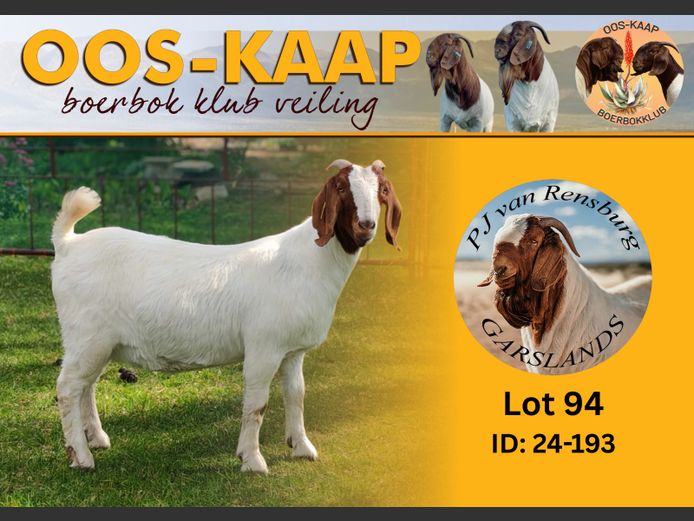 24-193 | PJ van Rensburg