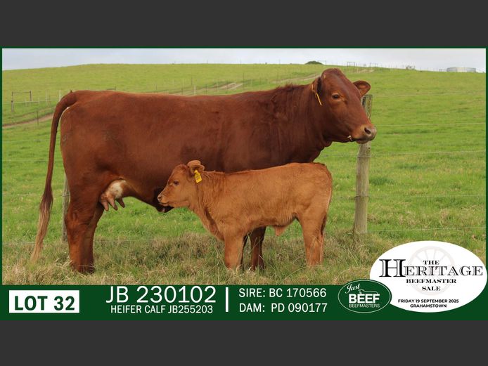 JB  230102 | JUST BEEF