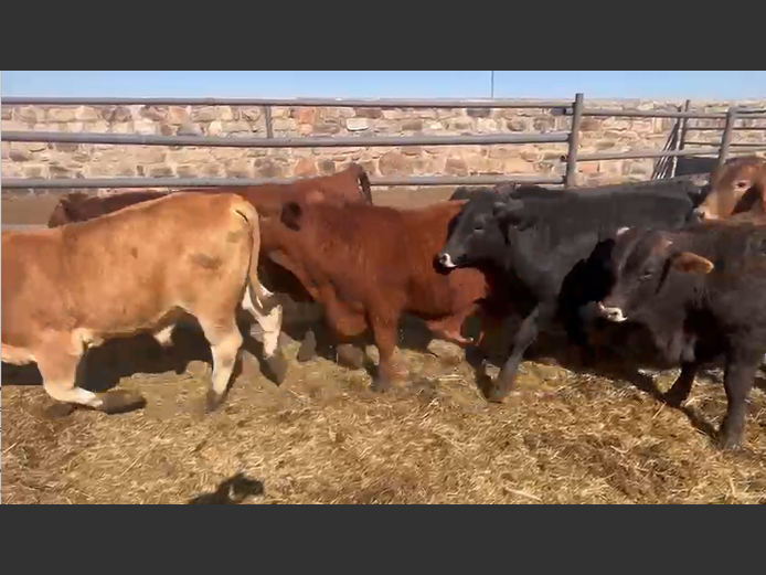 Weaners 