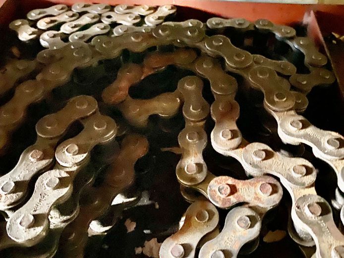 1 x Fenner 16B chain