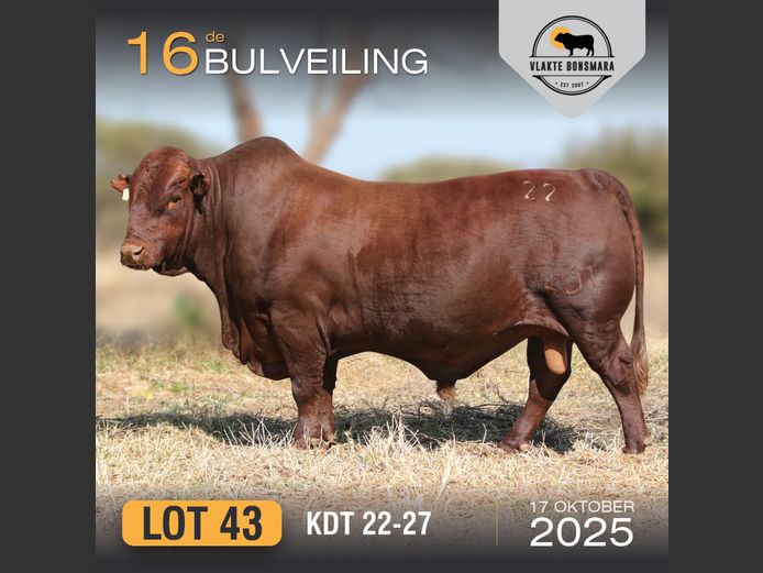 KDT 220027 | J.P.F. DU TOIT