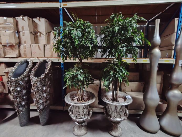2 x Artificial Trees and Planters (STC)