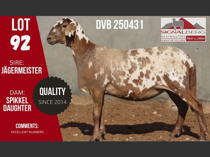 DVB 250431 | SIGNALBERG MEATMASTERS