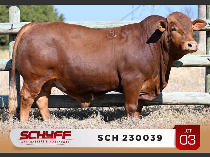 SCH 230039