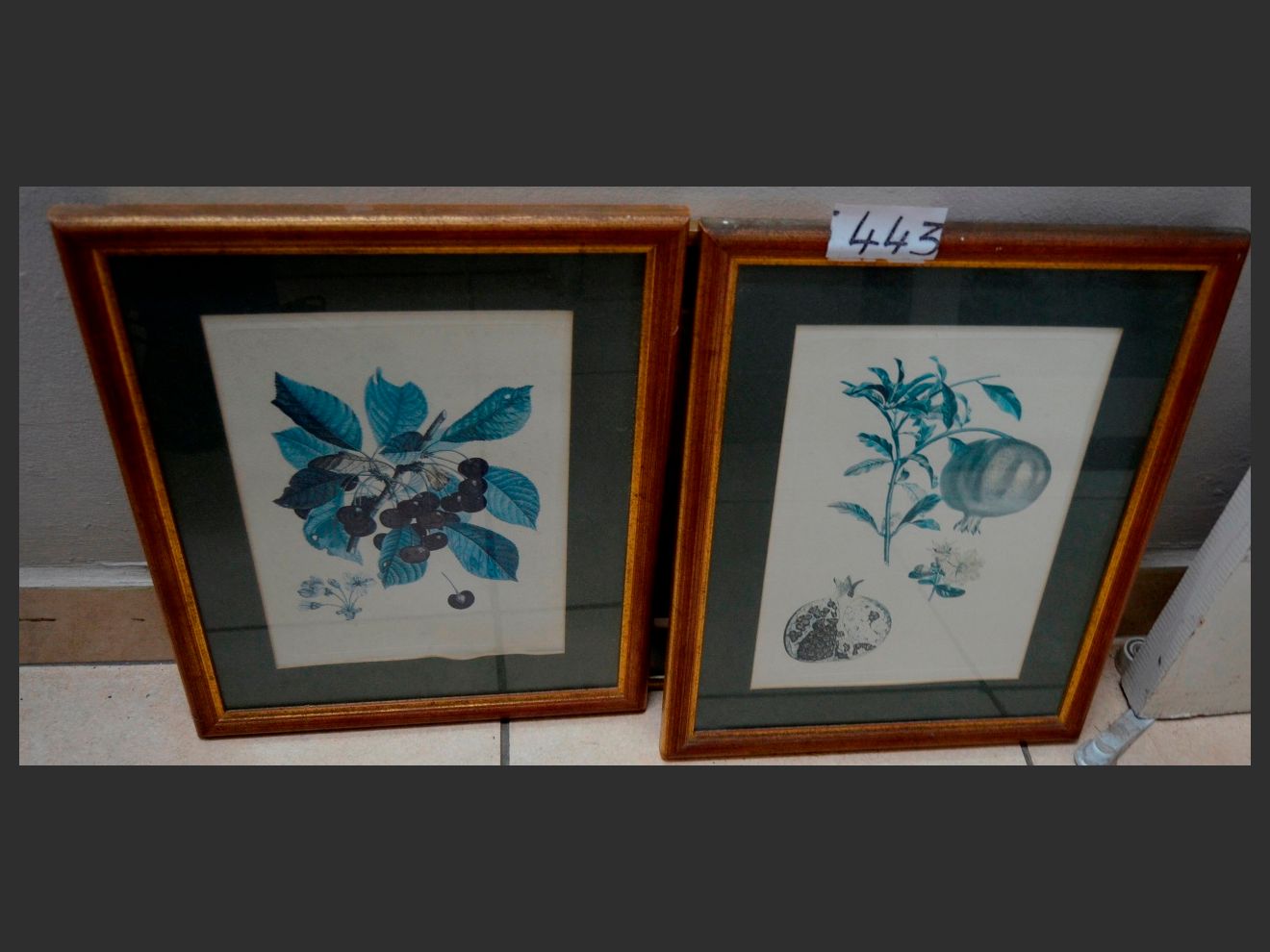 images