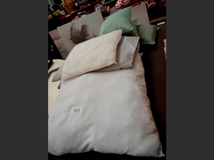 SINGLE DUVET INNER, CONTINENTAL PILLOW, SCATTER CUSHIONS, etc