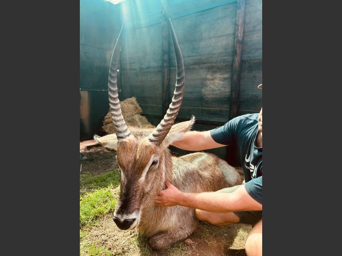 Waterbok | Weltevrede (J Marx)