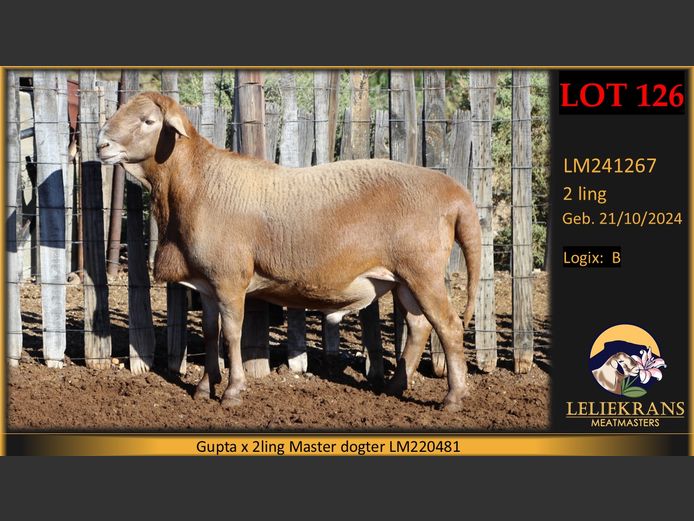 LM241267 | LELIEKRANS MEATMASTERS