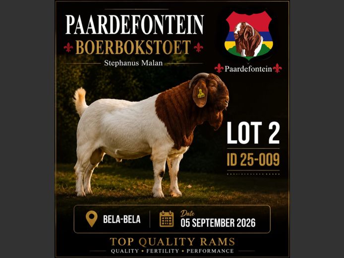 116250009 | PAARDEFONTEIN