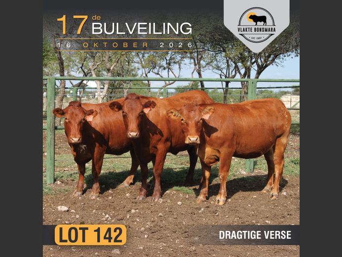 Commercial Animals | Bosland Boerdery