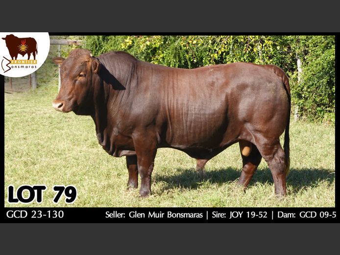 GCD 230130 | GLEN MUIR BONSMARAS