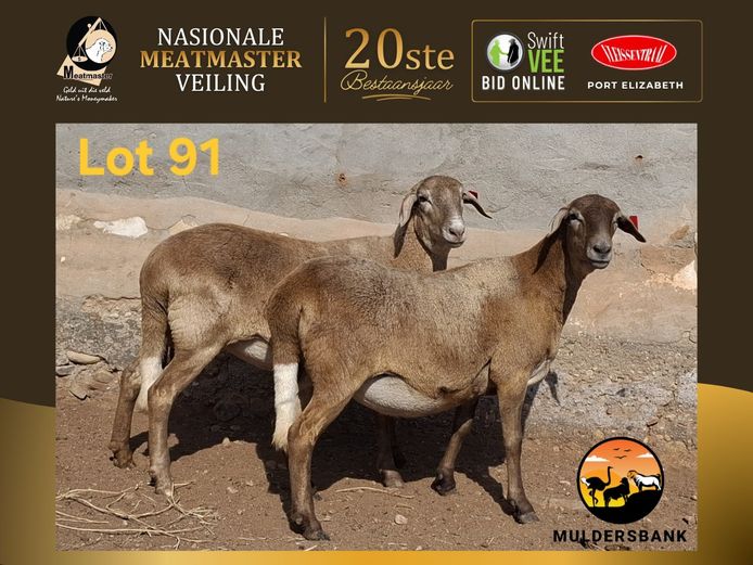 25-86 | Muldersbank Meatmasters
