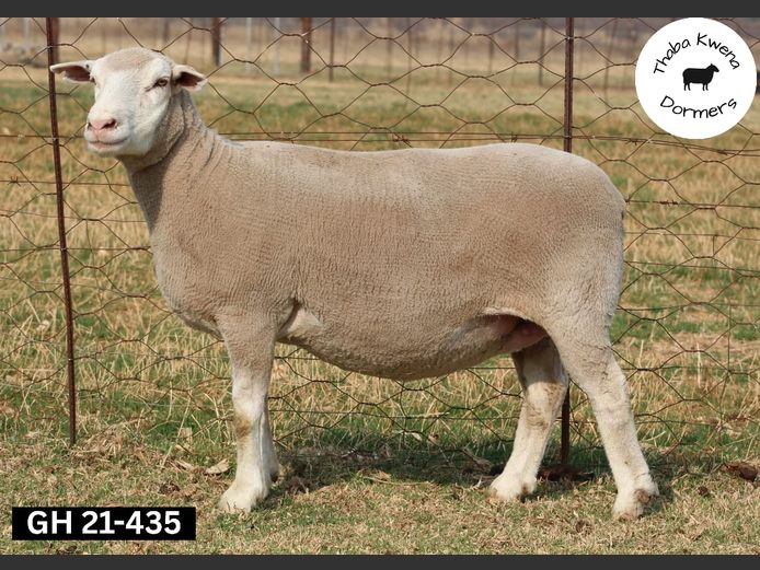 GH 210435 | THABA KWENA DORMERS