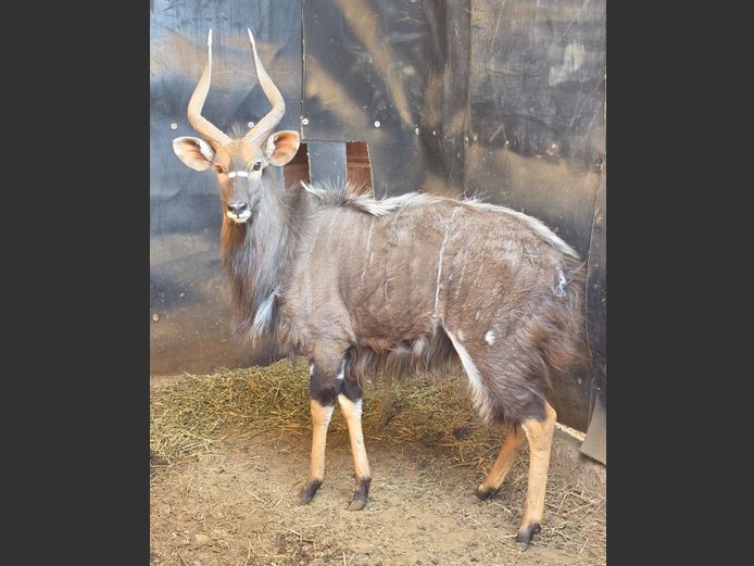 NJALA | TK BOERDERY