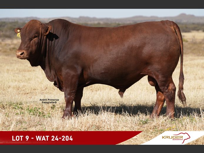 WAT240204 | KRUGER BOERDERY