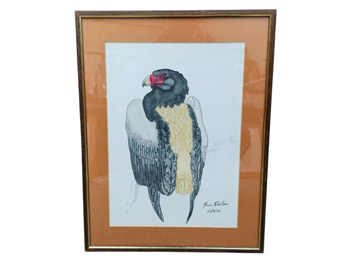 Original Wildlife Watercolor Painting of a Bird of Prey by Bruce Robertson (1986)