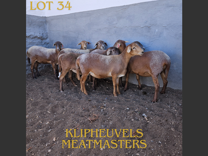 67 | KLIPHEUVELS MEATMASTER