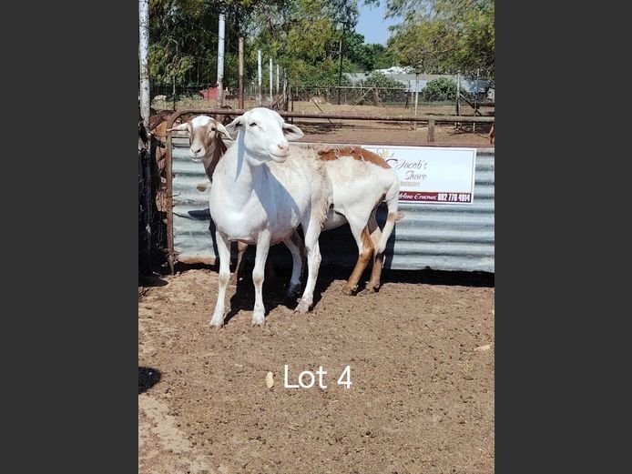 JAC 23-23 | Jacob's Share Meatmasters