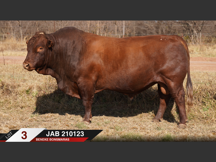 JAB210123 | J.A. BENEKE