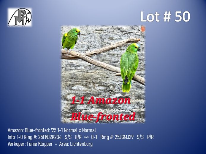 1-1 '25 Amazon: Blue-fronted: Normal x Normal - Fanie Klopper