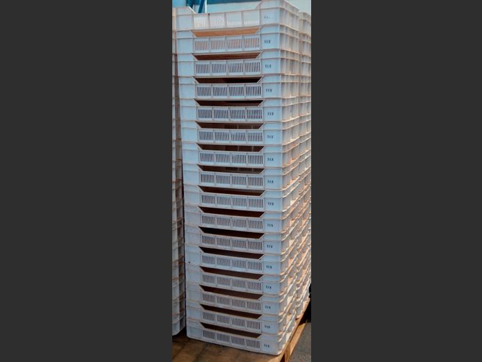 LOT OF 16: PLASTIC FRUIT CRATES