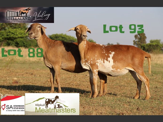 JAD2059 | Klipkuil Meatmasters