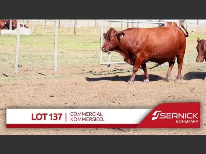 Commercial Animals