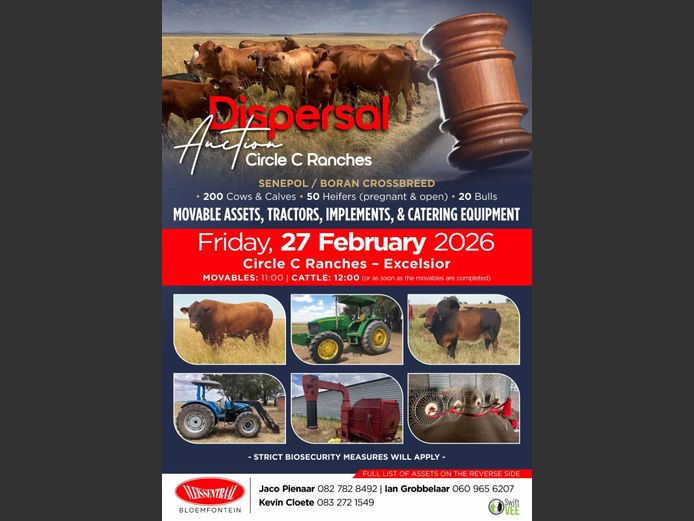 CIRCLE C RANCHES DISPERSAL AUCTION