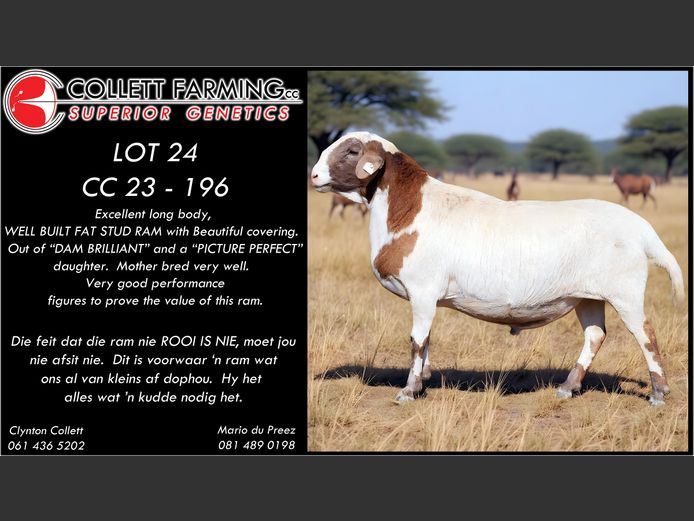 CC 230196 | COLLETT FARMING CC
