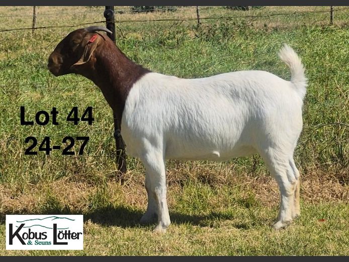 1384240027 | DIRK LOTTER