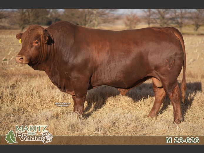 M230626 | Maritz Bovelders