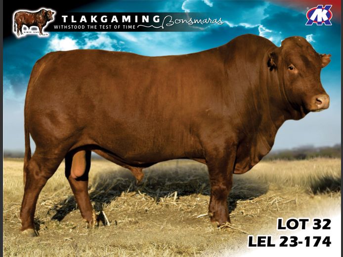 LEL230174 | LEE & SON