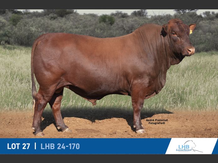 LHB240170 | LEEUHEUWEL BOERDERY (EDMS) BPK