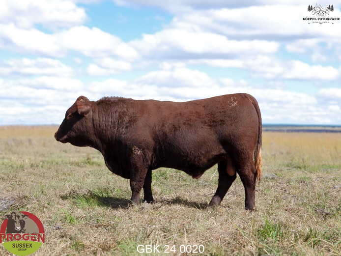 GBK 240020 | G.B. KEYSER