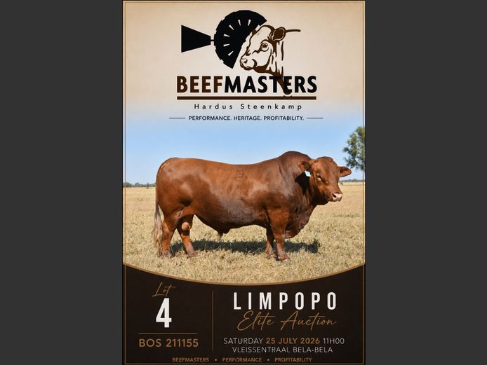 BOS211155 | G.A. STEENKAMP