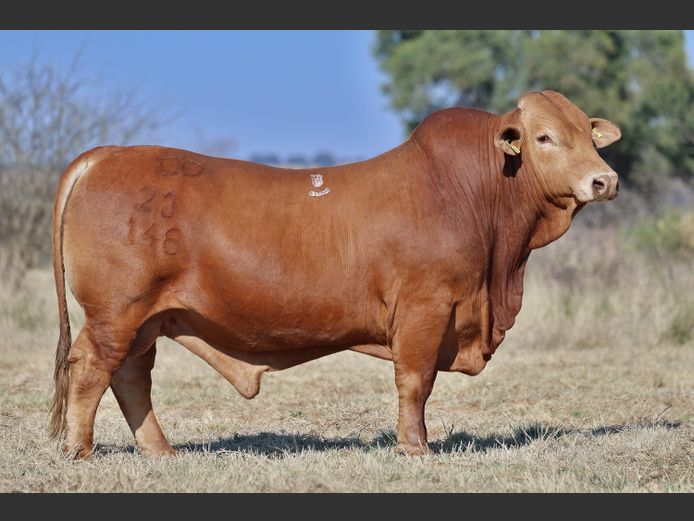 DO230146 HH | M.W.J. DE JAGER