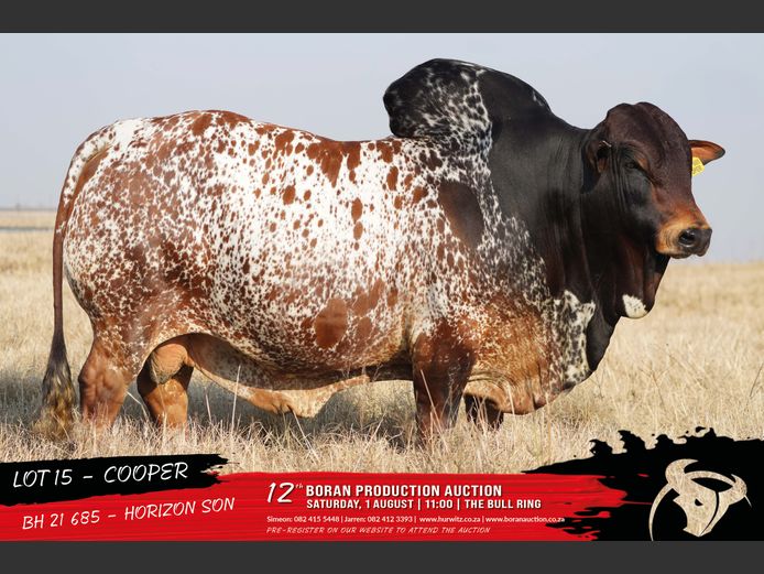 BH 210685 | HURWITZ FARMING